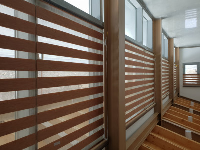 Timberlook